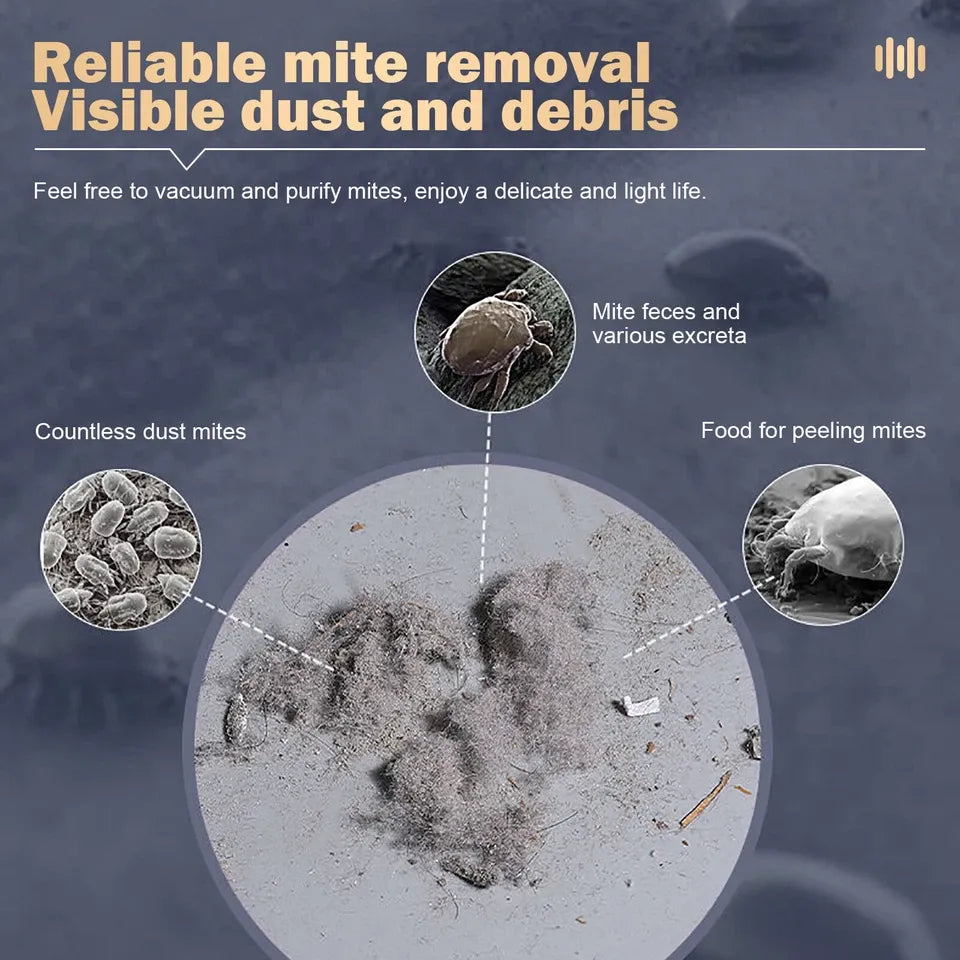 Cordless Dust Mite Remover – 10000Kpa UV Vacuum for Bed, Sofa & Mattress