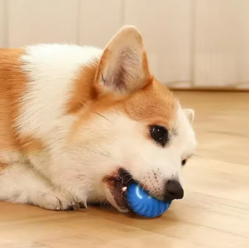 Smart Automatic Dog Toy Ball – USB Rechargeable Interactive Chew Ball