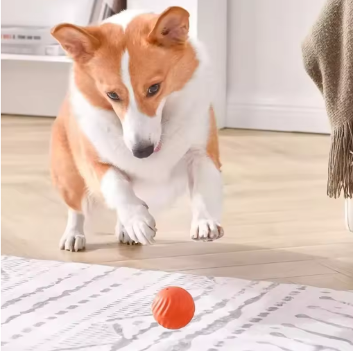 Smart Automatic Dog Toy Ball – USB Rechargeable Interactive Chew Ball